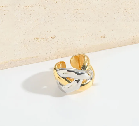 Geometric open rings